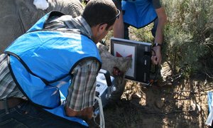 Twee Renosters Gered